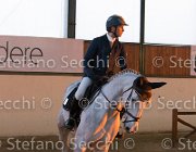 Berlin dei Folletti TosTour2013- S5 3205 : Arezzo, Arezzo Equestrian Centre, Berlin dei Folletti, Cavalli d'Italia, Toscana Tour 2013, foto di Stefano Secchi ©